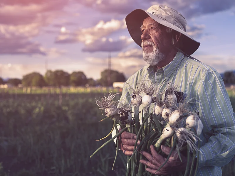 Alamosa farmer holding onions