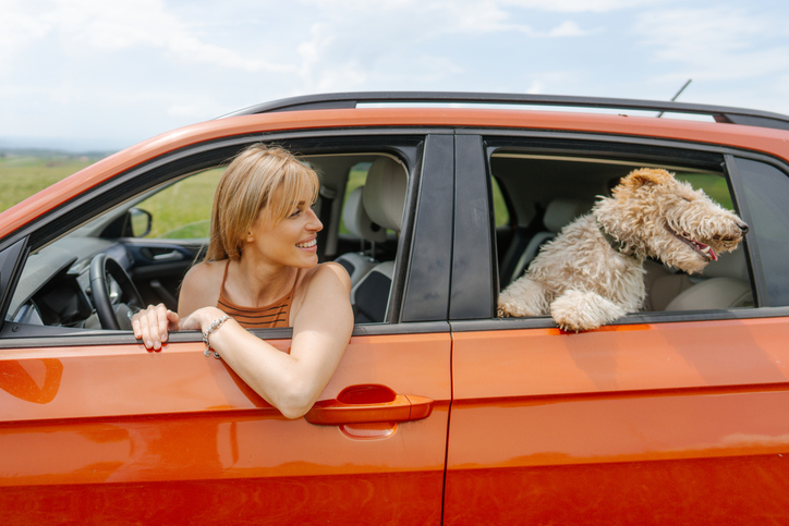 A young woman in her car looking out the window at her dog